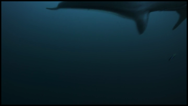 [Image: j0impky4f4x5.png]