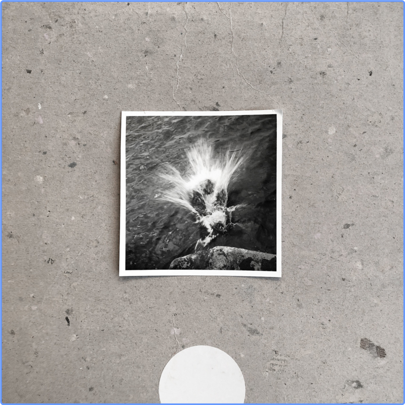 Nils Frahm - Empty (Album, Hi-Res 24Bit, 2020) FLAC LossLess
