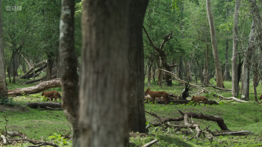 [Image: w45mijau9c7x.png]