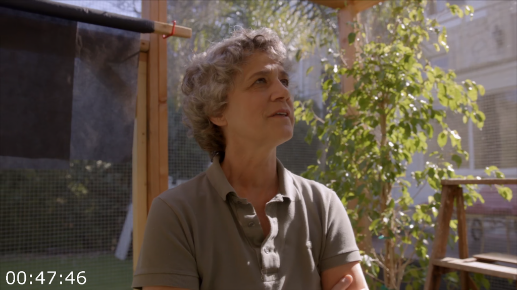 [Image: vhwz8vv0gj10.png]