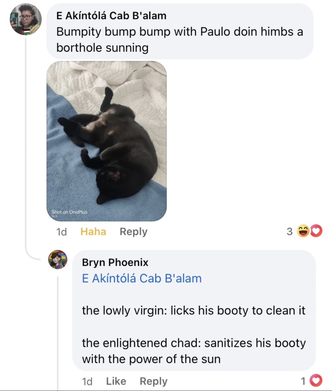A screenshot from a Facebook comment section. User E Akíntólá Cab B'alam posts a comment which reads, "Bumpity bump bump with Paulo doin himbs a borthole sunning". This includes a photo of a black cat laying on their back, with their back legs spread wide open, as if "doin himbs a borthole sunning." User Bryn Phoenix responds with, "E Akíntólá Cab B'alam the lowly virgin: licks his booty to clean it. the enlightened chad: sanitizes his booty with the power of the sun"