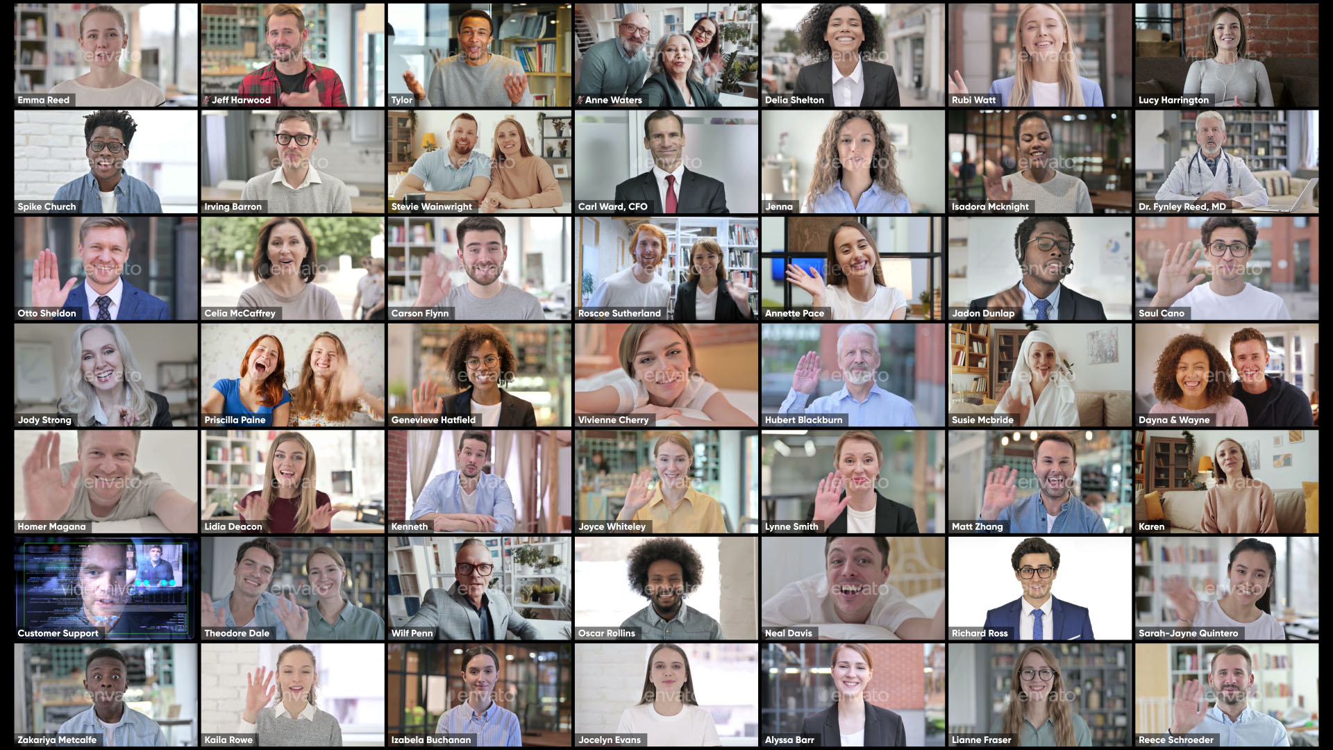 Zoom Views: Online Video Conference Toolkit - 12
