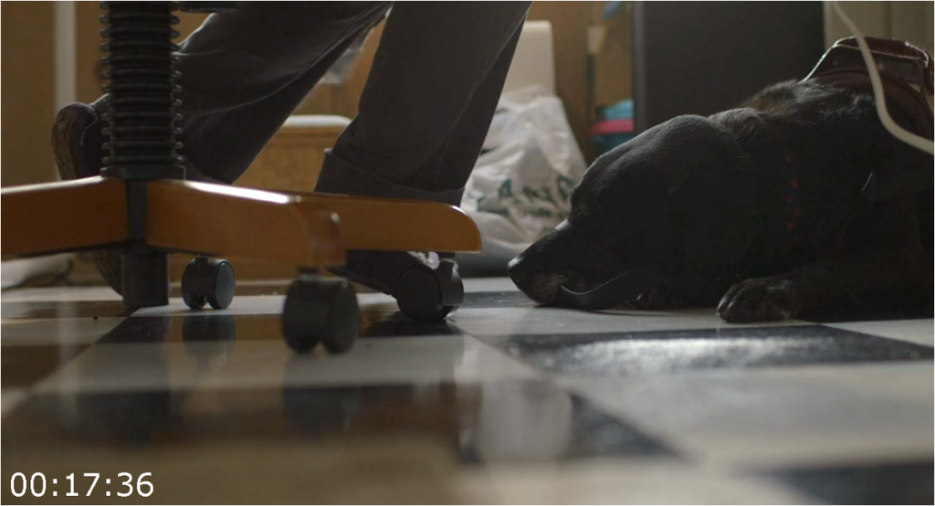 [Image: fwiek8j1j40r.png]