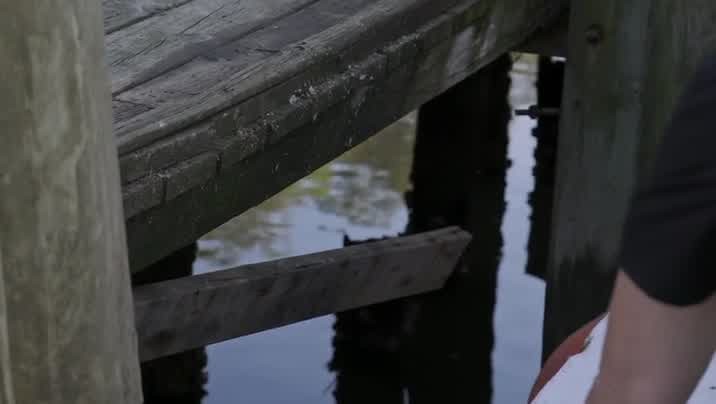 [Image: 3fqyo9r3eqr2.jpg]