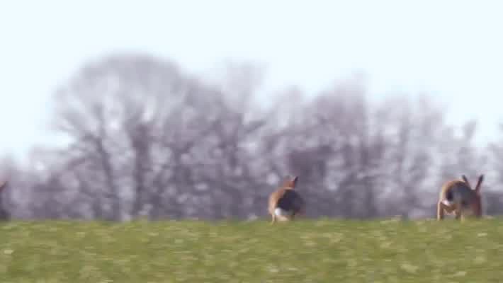 [Image: 7karp4d3frh3.jpg]