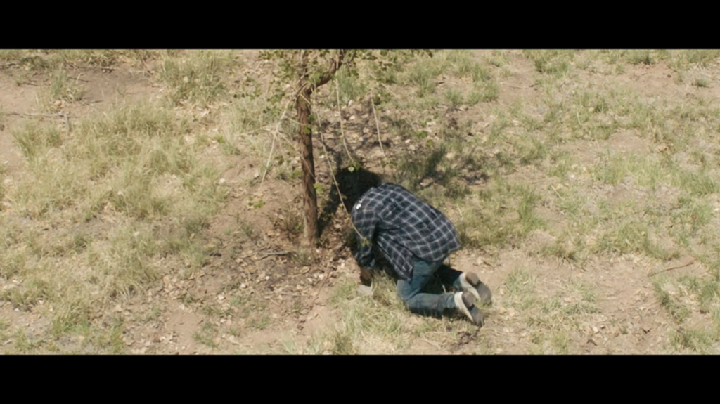 [Image: 68o9q3onqris.png]