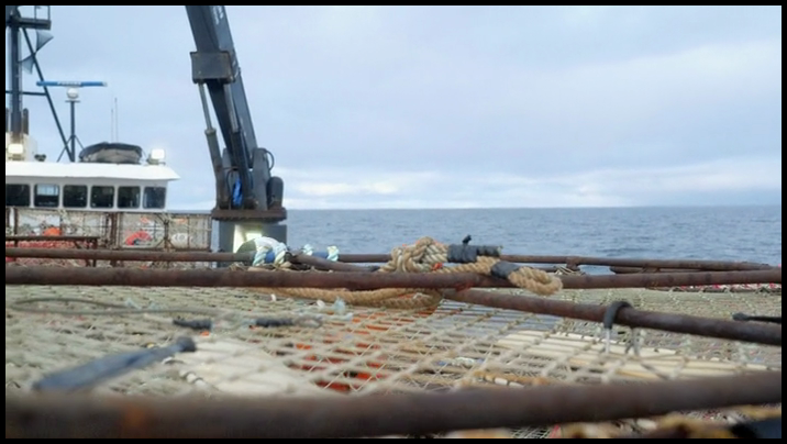 [Image: q5b8ascbdw88.png]