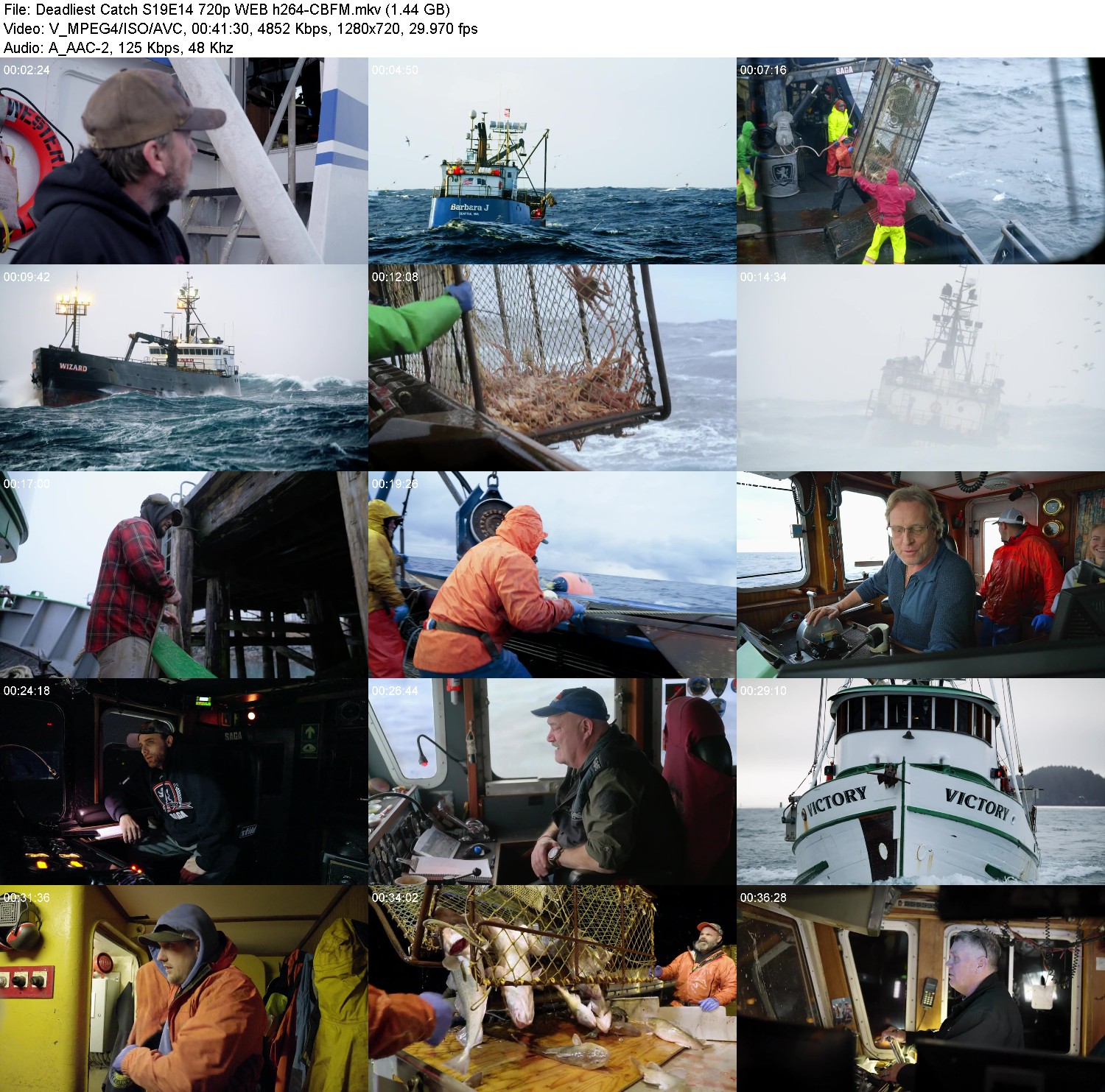 [Image: 7jbgw644qiuj.jpg]