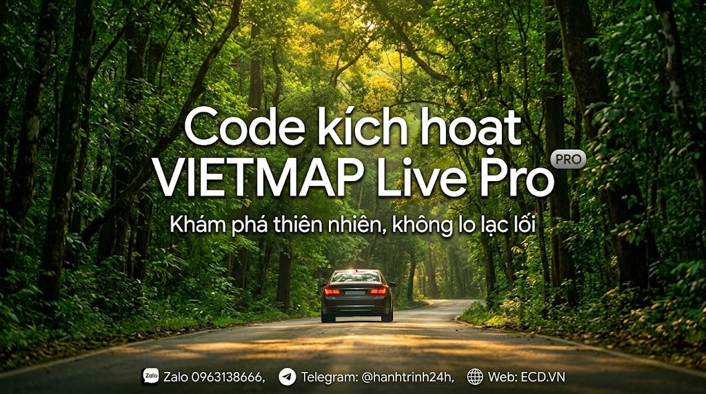 vietmap pro group