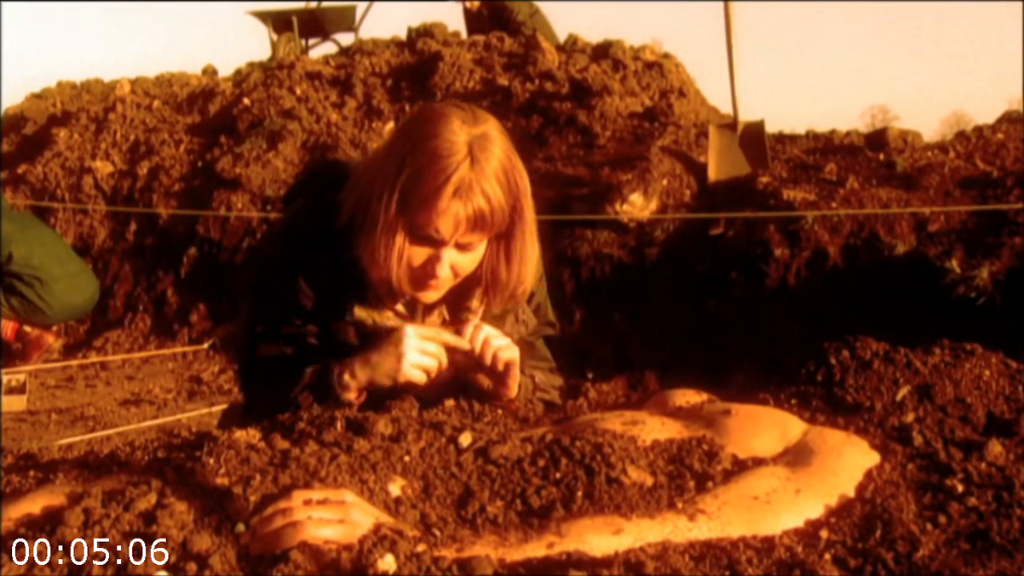 [Image: 508str6flsdl.png]