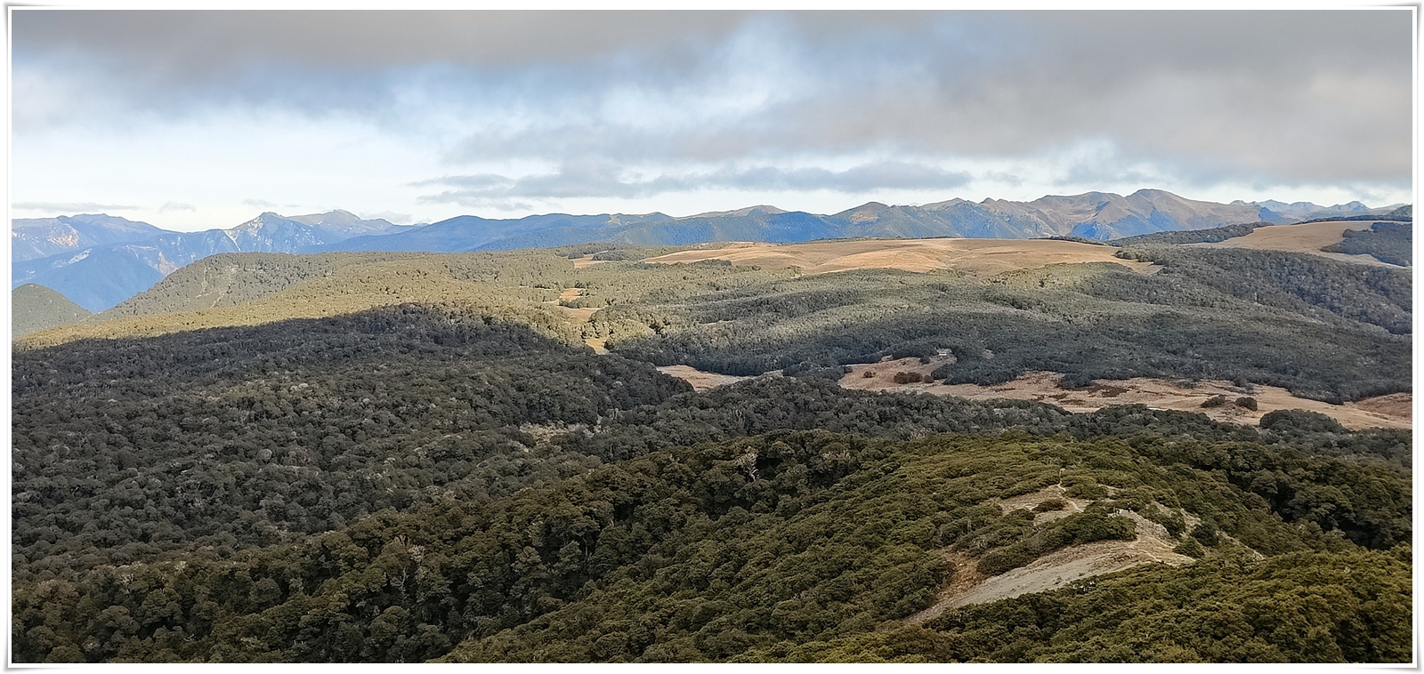 Kahurangi NP: Tableland/Mt Arthur Circuit (abril 2023) - Escapadas y rutas por la Nueva Zelanda menos conocida (21)