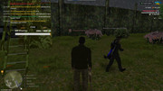 IMG-20260925-214442-233