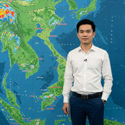 nylo-nguyen