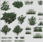 textures-arbres.png