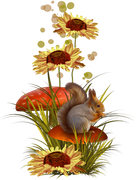 ISmell-Autumn-LL-Element67