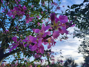 От Антальи на восток (до Мардина и Диярбакыра) + Анкара, ноябрь 2025.