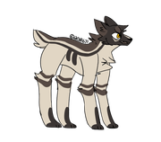 coffee-coloured-wolf