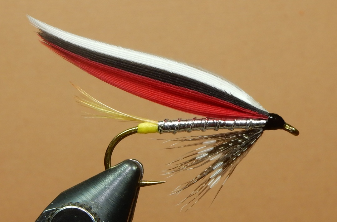 Trout-Fin-Perrault-s-1080.jpg