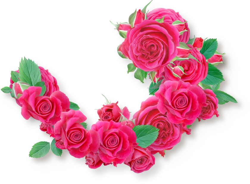 RosesCluster07