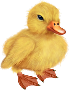 Yk-Easter-is-Coming-17