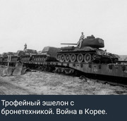https://i.postimg.cc/BtGWffPg/photo-2026-06-24-02-47-14.jpg