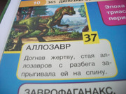 https://i.postimg.cc/BtHp2jCX/100-8069.jpg