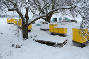 [Obrázky: DSCF0732.jpg]