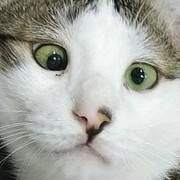 2018-05-31 05.47.29 1791393266279441237_338237262