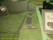 IMG-3304