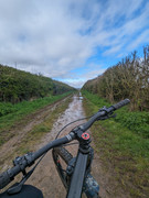 PXL-20240401-093748391