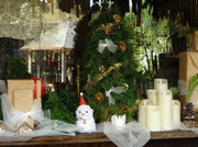 photo 16 2025 12 27 21 06 10