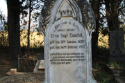 IMG-0333