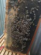 photo_2020-06-16_07-17-07