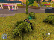 IMG-6764