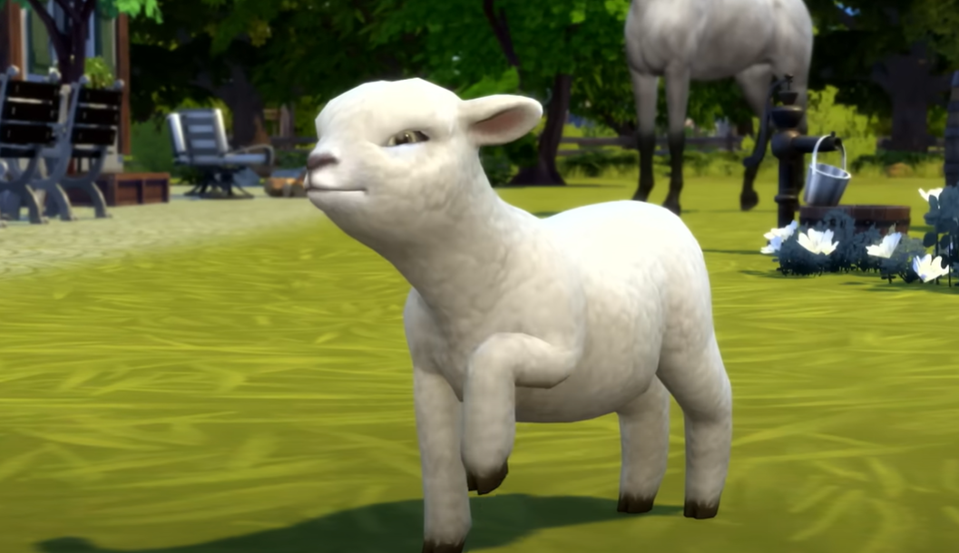 Sheep-with-attitude.png
