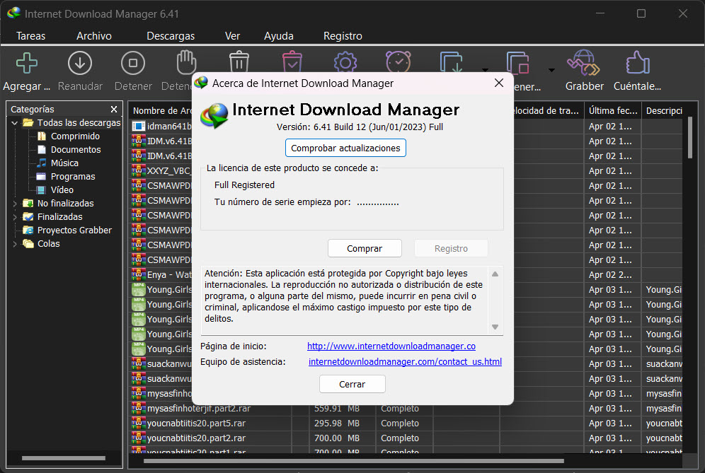 Internet Download Manager v6.41 Build 12 [Mi Favorito Gestor de Descarga] 04-06-2023-14-42-04