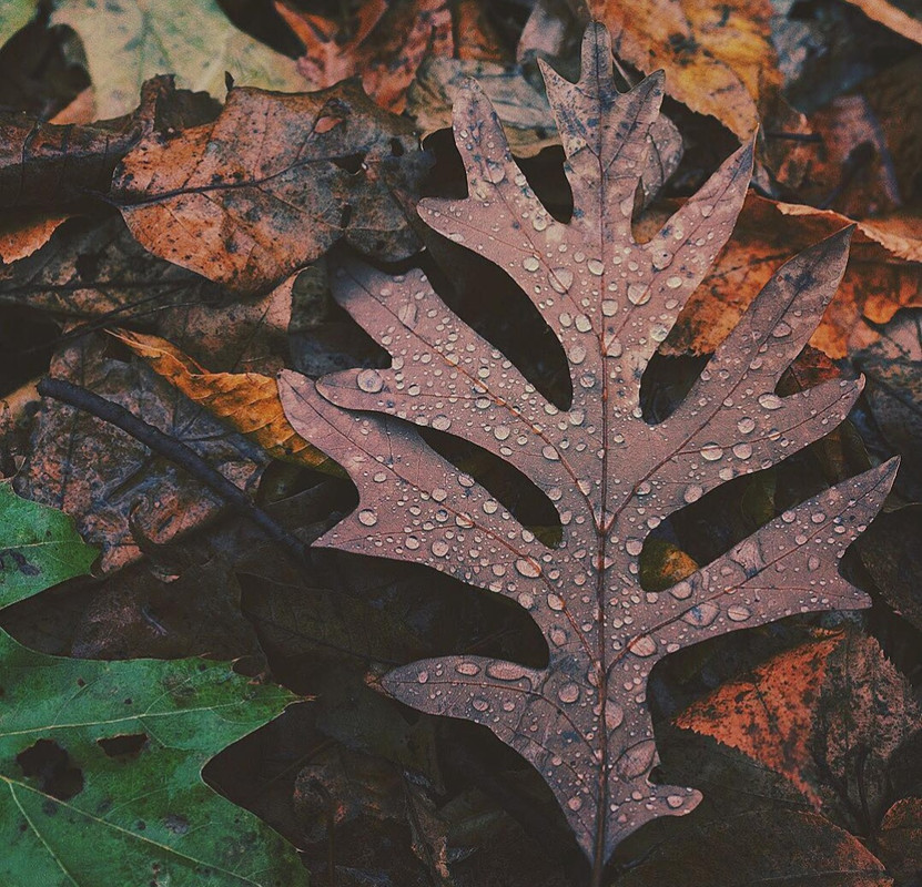 Screenshot_20231206_221026_Instagram