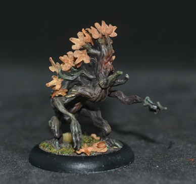 [Image: DSC_0451.jpg]