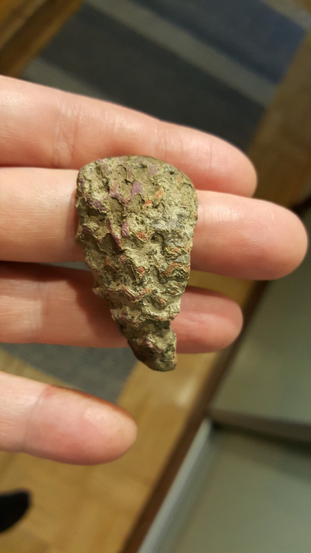 20171105_134947 (Medium)