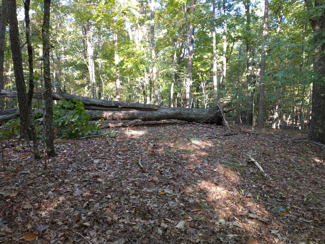 IMG_20221014_094217716