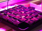 657515C1-8DCB-40A7-A881-A9E34720CBCB