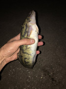 3862129F-21D2-447A-870E-B7739B8F2128