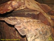 IMG-7095