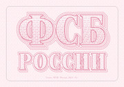 10. Вкладыш ФСБ - Бланк 1 (2)