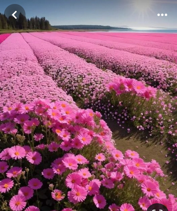 Screenshot_20240331_163912_Pinterest