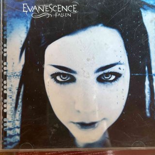Evanescence: Fallen : CD