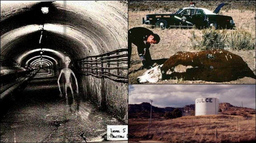 Дульсе: Запретные туннели, пришельцы и секреты в горах Нью-Мексико Дульсе: Запретные туннели, пришельцы и секреты в горах Нью-Мексико