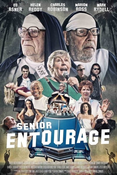 senior-entourage-2021-hdrip-xvid-ac3-evo