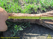 IMG-1776