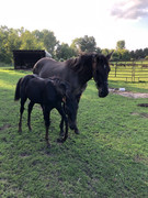 8A0F6D2D-333D-40C5-AC49-5B9BCAE78C07